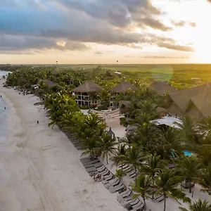Los Lirios Tulum Pueblo