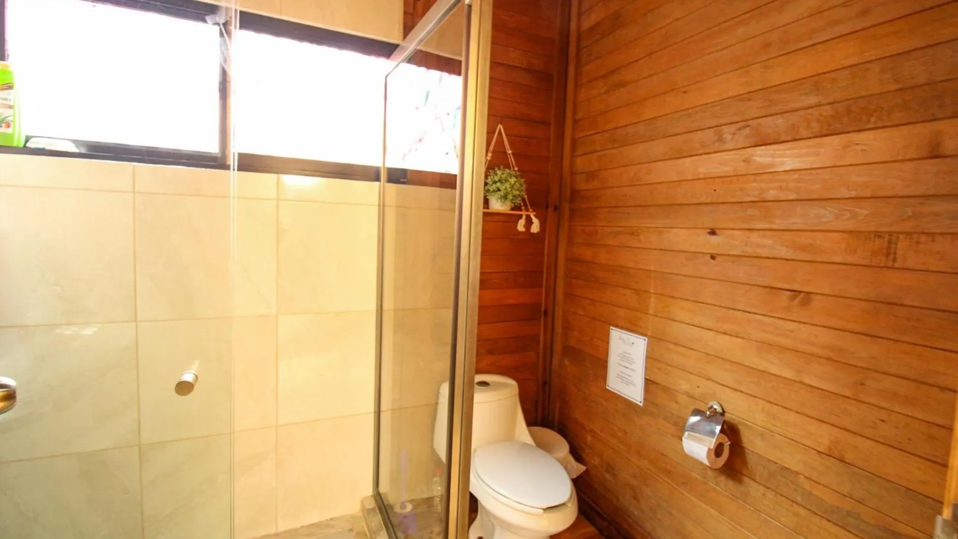Alicat Villas Tulum