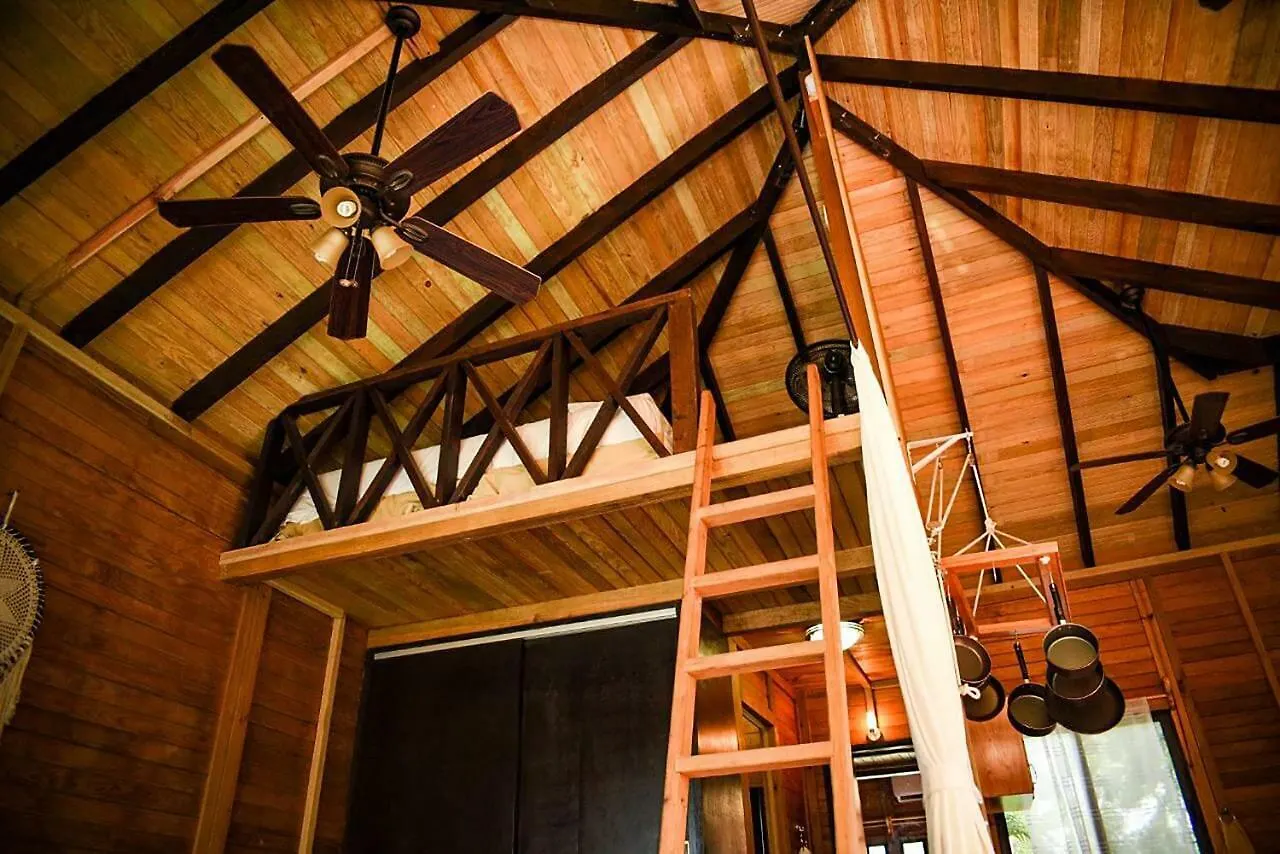 Alicat Villas Tulum